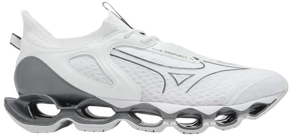 Mizuno Кроссовки Mizuno Wave Prophecy 14 White/MIZGalaxySilver/HarbMist