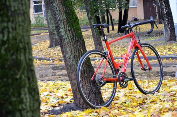 CANNONDALE CAAD OPTIMO 1