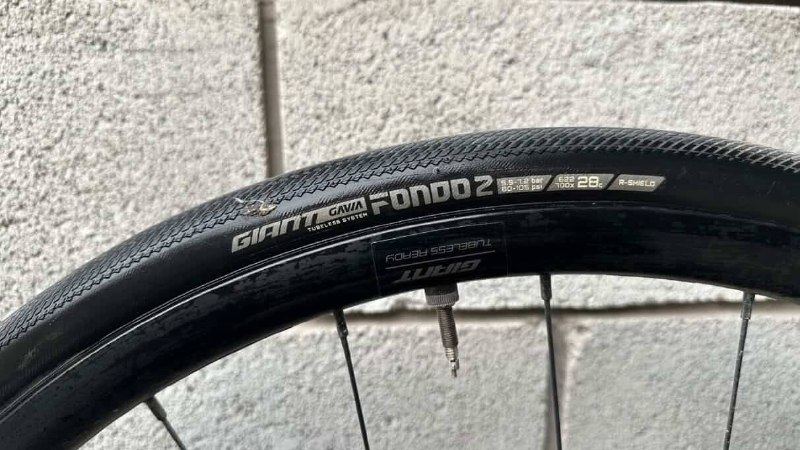 GIANT CONTEND SL