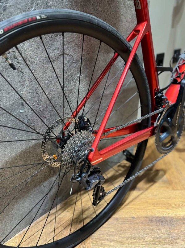 BMC TEAMMACHINE 01 SWISS MADE 2024