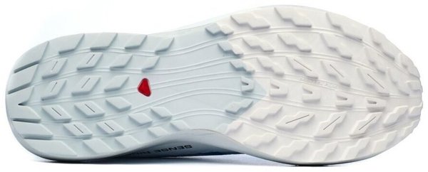 Salomon кроссовки мужские Sense ride 5