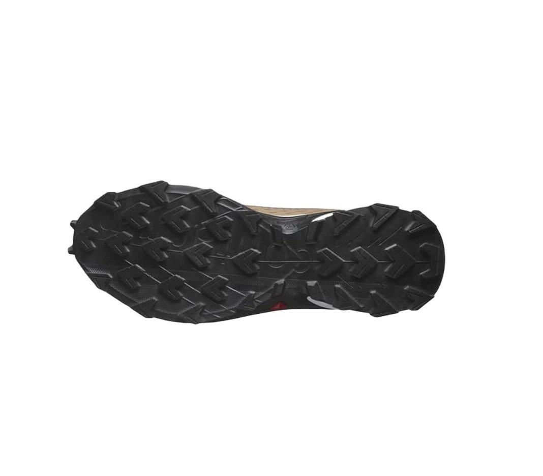 Salomon кроссовки мужские Alphacross 5