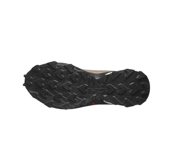 Salomon кроссовки мужские Alphacross 5