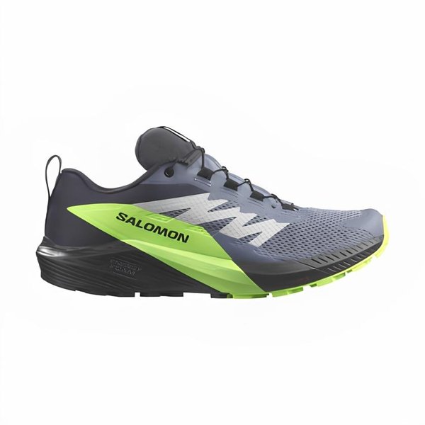 Salomon кроссовки мужские SENSE RIDE 5 GTX