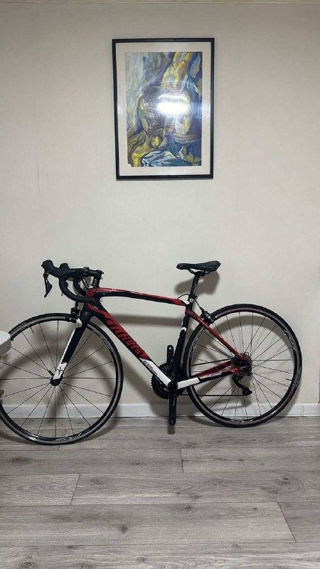 КАРБОНОВЫЙ WILIER GTR TEAM