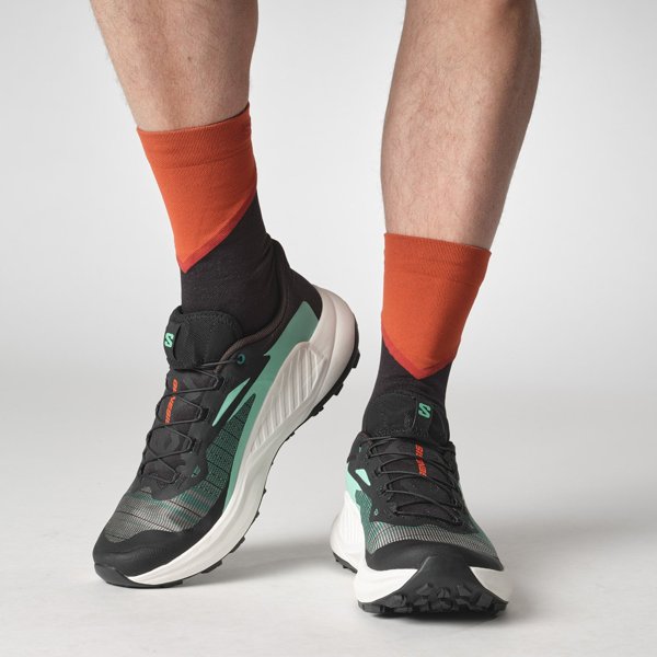 Salomon кроссовки мужские Genesis