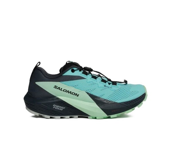 Salomon кроссовки женские SENSE RIDE 5 GTX