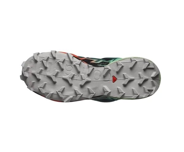 Salomon кроссовки женские Speedcross 6 GTX