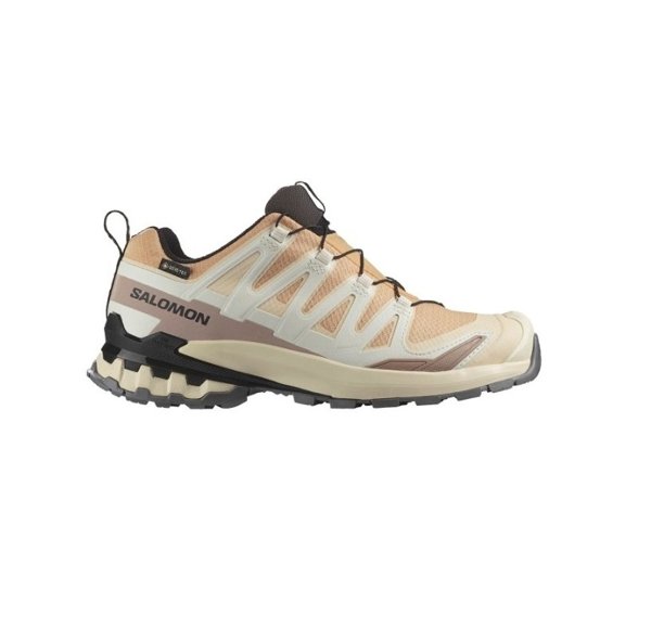 Salomon кроссовки женские Xa Pro 3D V9 GTX