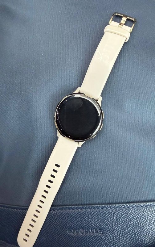 GARMIN VENU SQ MUSIC